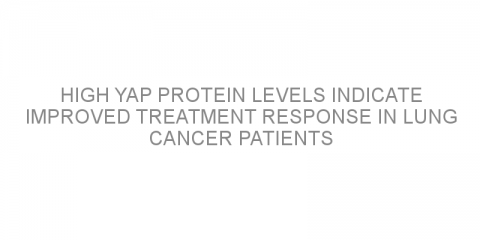 High YAP protein levels indicate improved treatment response in lung cancer patients